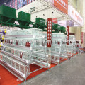 Factory direct supply advanced cage for transport of chicken